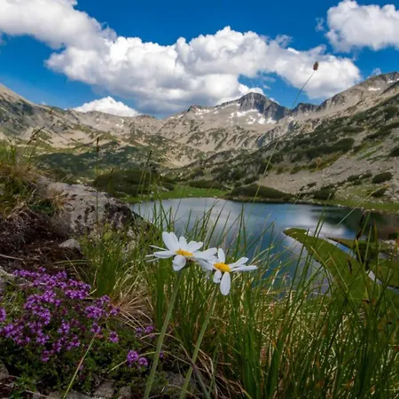 Getaway- & Summer Activities , Sleep 6 Appartement Bansko