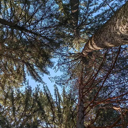 아파트 Getaway- & Summer Activities , Sleep 6 반스코